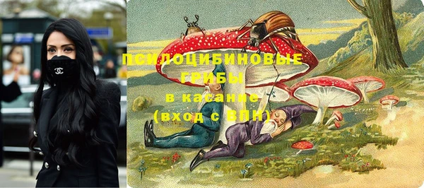 MDMA Premium VHQ Бородино