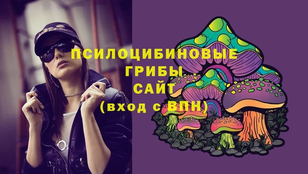 винт Бугульма